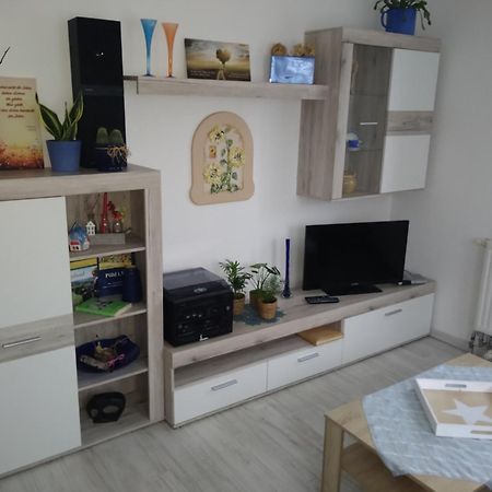 Ferienhaus Johanna & Ferienwohnung Thum Weischlitz Bagian luar foto