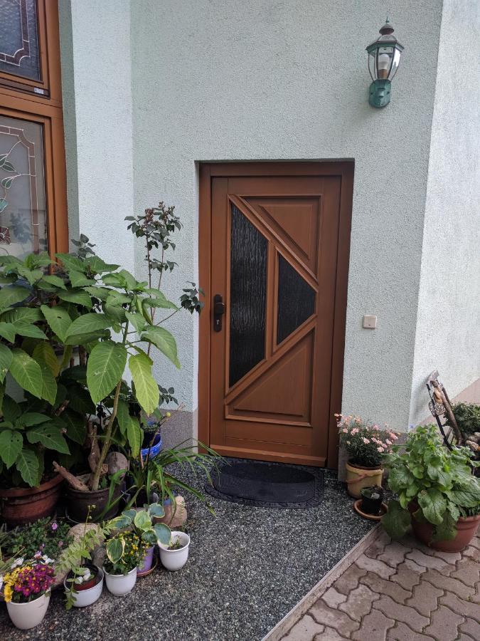 Ferienhaus Johanna & Ferienwohnung Thum Weischlitz Bagian luar foto
